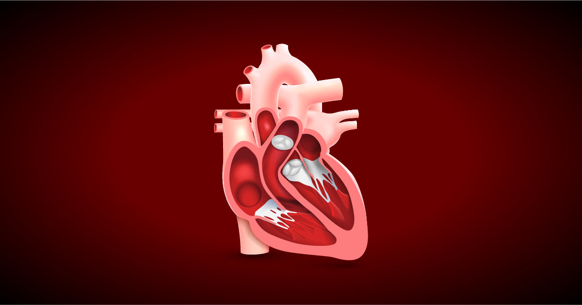 ❤️ Heart Tonic Support — Natural Heart Health Formula