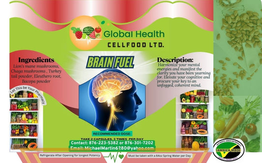 Brain Fuel