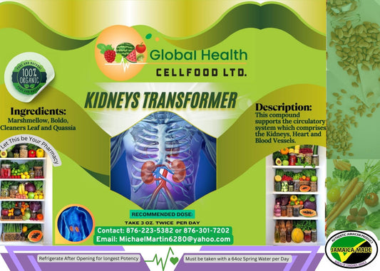 Kidney Transformer