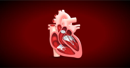 ❤️ Heart Tonic Support — Natural Heart Health Formula