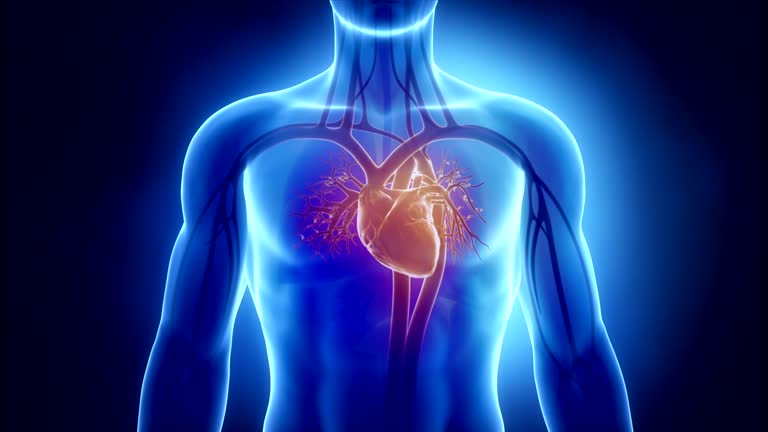 ❤️ Heart Tonic Support — Natural Heart Health Formula