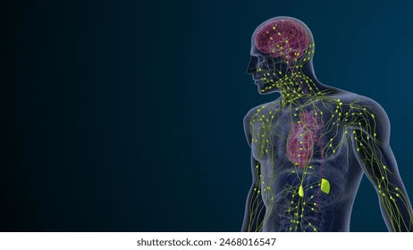 Lymphatic Cleanse